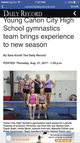 State Gymnastics Competition