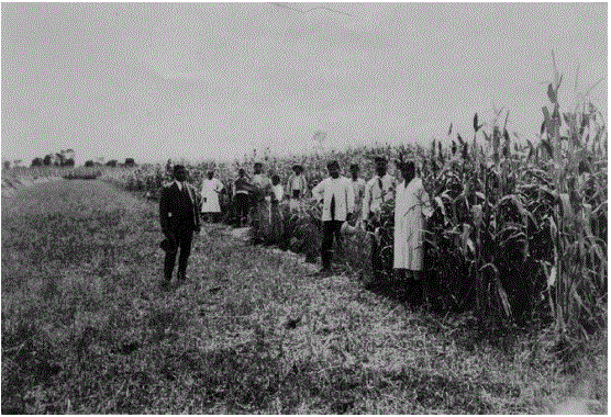 Política agropecuaria