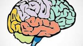 Timeline: Línea del tiempo: El desarrollo intelectual del ser humano