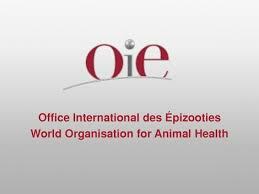 Oficina internacional de Epizootias