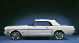 Timeline: mustang life