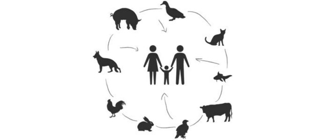 Definición de Zoonosis