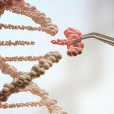 Timeline: History of Biotechnology