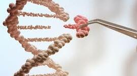 Timeline: History of Biotechnology