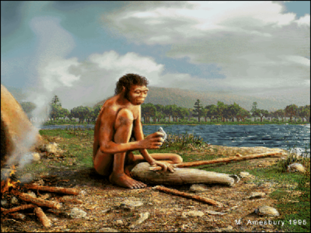 Homo Erectus (roamed from 1.8 million to 200,000 B.C.E.)