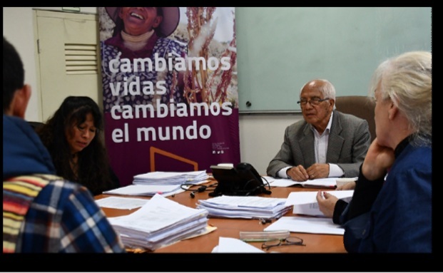 Comité institucional de revisión