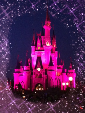 1st Disney World Trip