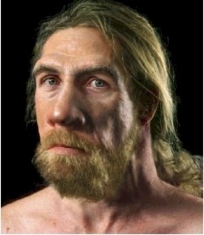 Homo sapiens neanderthalenses (neanderthal man) 230,000 to 30,000 years B.C.E