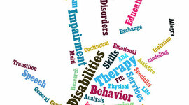 Timeline: Special Education - Interdisciplinarity