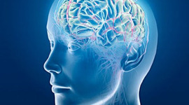 Timeline: LA NEUROLOGÍA EN EL TIEMPO