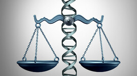 Timeline: Historia de la Bioetica.