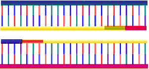 Kary Mullis de Cetus Corporation