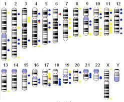 Secuenciación del 90% del genoma humano