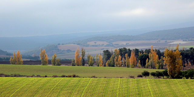Ecología del paisaje