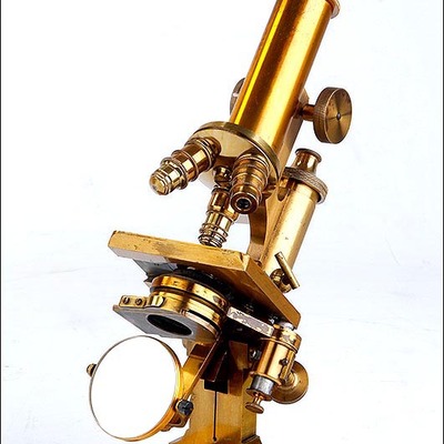 Timeline: LINEA DE TIEMPO DEL MICROSCOPIO