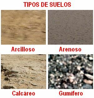 Publicación "Geología agrícola"