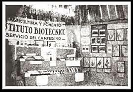 Instituto Biotécnico