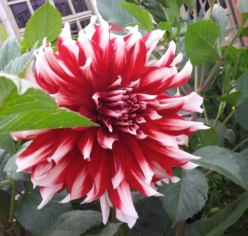 Descubrimientos de la tierra