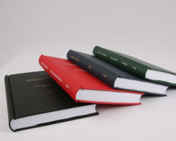 Asturia's university thesis