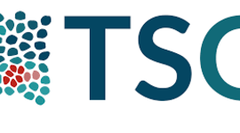 Timeline: Desarrollo Histórico del TSG