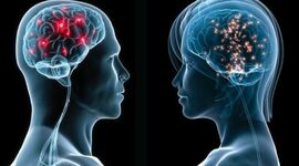 Timeline: Neurociencias de la conducta