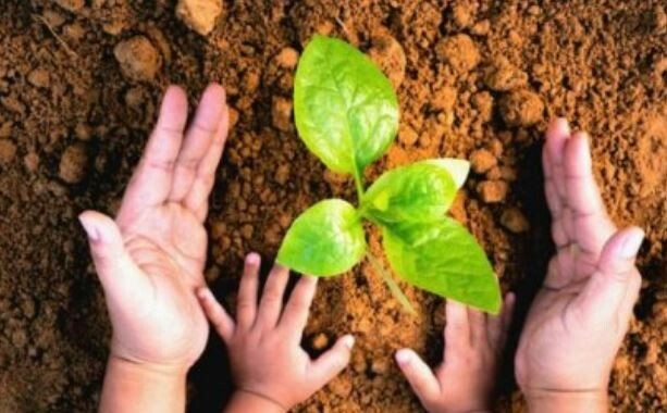 Los primeros aprendizajes del desarrollo ambiental