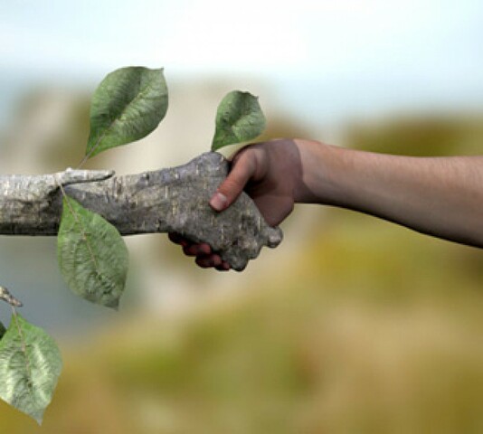 Normas medioambientales