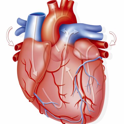 Primer Transplante de Corazon Humano