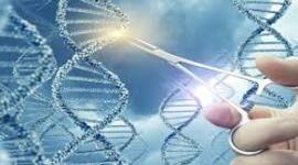 Timeline: Bioética, FIC José Ranero