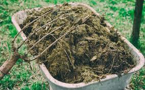 Primer abono que se utilizo