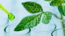 Timeline: Historia de la biotecnología