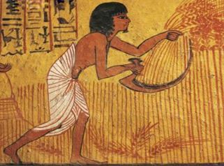 Inicios de la Biotecnologia