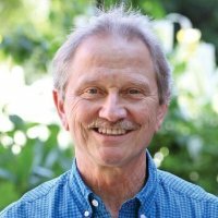 Piaget propone un paradigma focalizada en el desarrollo humano (Tudge y Winterhoff, 1993)