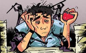 Decreto 2646 del 2008