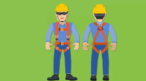 Resolución 1409 de 2012