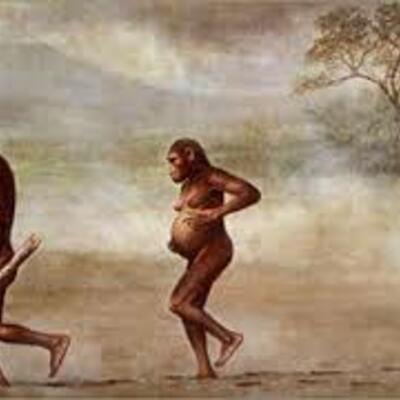 Timeline: EL GENERO EN LA SOCIEDAD