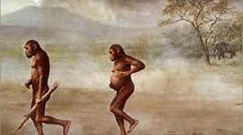 Timeline: EL GENERO EN LA SOCIEDAD