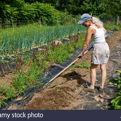 Timeline: Historia de la Agronomía como profesión
