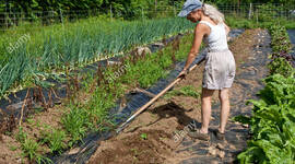 Timeline: Historia de la Agronomía como profesión