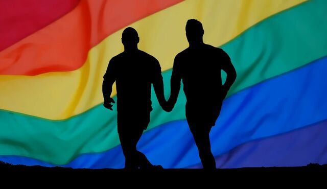 feministas de género y el lobby homosexual