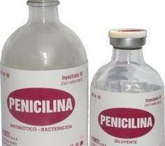 PENICILINA