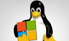LINUX
