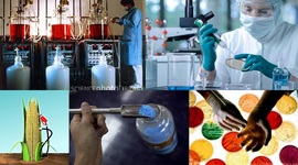 Timeline: Historia de la Microbiología Industrial