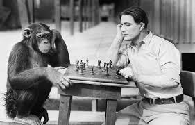 El Genoma del chimpancé