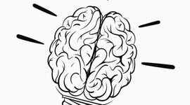 Timeline: Desarrollo, Escenarios de la Psicología Política