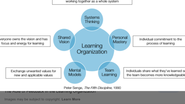 Learning Organization