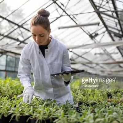 Timeline: Historia de mi profesión