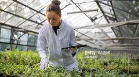 Timeline: Historia de mi profesión