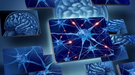 Timeline: LA NEUROPSICOLOGIA EN EL TIEMPO