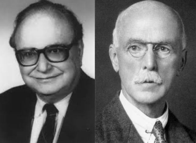 Wilhem Constein y Karl Lüdecke